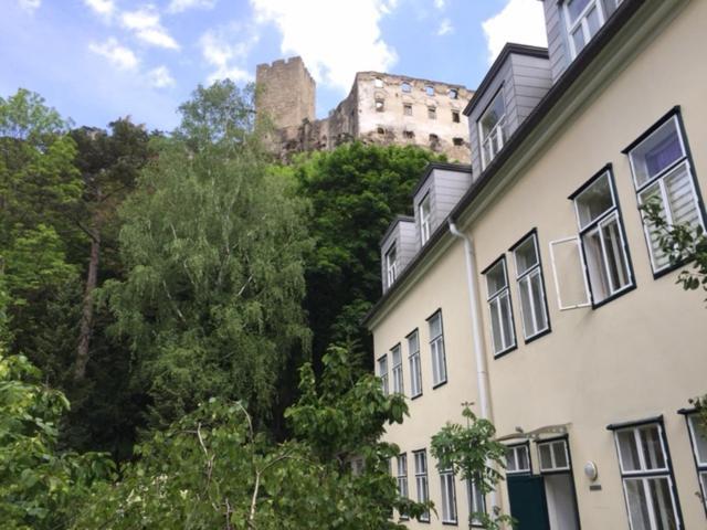 Schoene Wohnung Im Helenental Baden Kültér fotó